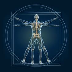 Dr Martin Young, Chiropractic Expert Witness